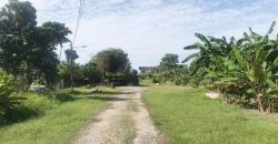 Pontian Kechil – Bungalow Land – FOR SALE