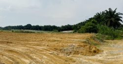 Kawasan Perindustrian Senai Fasa 3 @ Senai – Industrial Land – FOR SALE