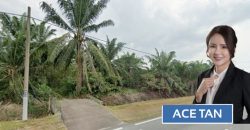 Pekan Nanas – Agriculture Land – FOR SALE