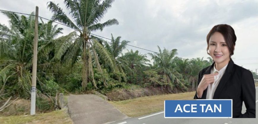 Pekan Nanas – Agriculture Land – FOR SALE