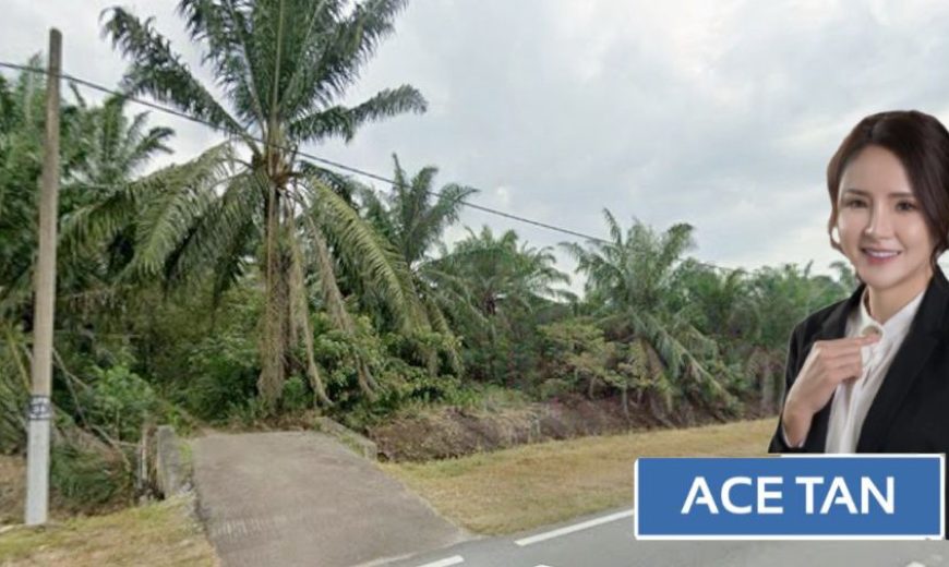 Pekan Nanas – Agriculture Land – FOR SALE