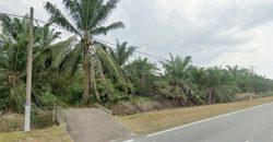 Pekan Nanas – Agriculture Land – FOR SALE