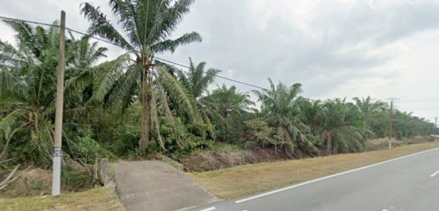 Pekan Nanas – Agriculture Land – FOR SALE