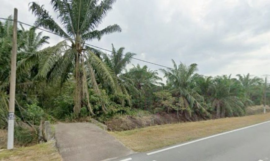 Pekan Nanas – Agriculture Land – FOR SALE