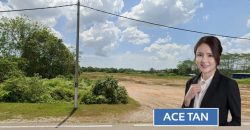 Pekan Nanas – Industrial Land – FOR SALE