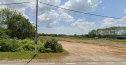 Pekan Nanas – Industrial Land – FOR SALE