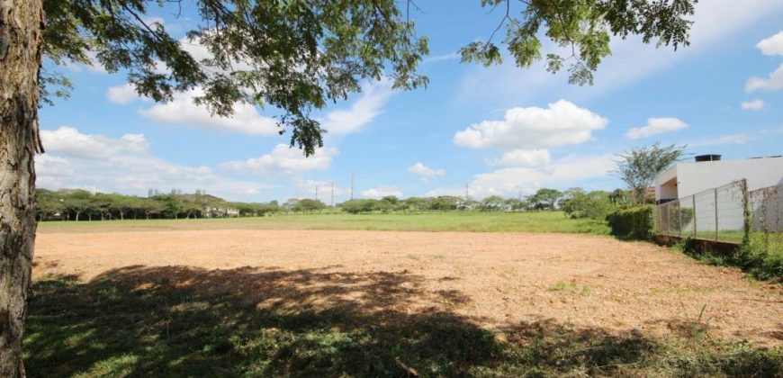 Leisure Farm – Bungalow Land – FOR SALE