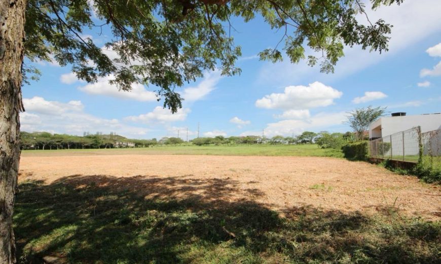 Leisure Farm – Bungalow Land – FOR SALE