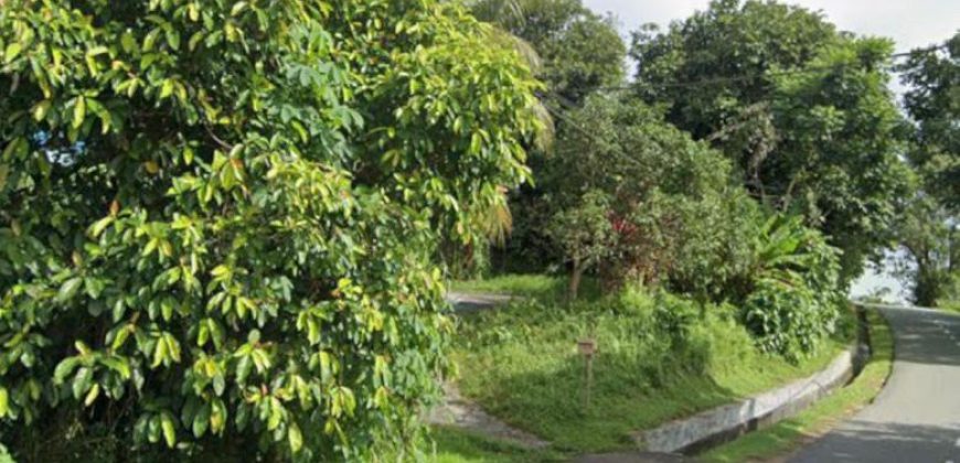 Kempas Baru – Agriculture Land – FOR SALE